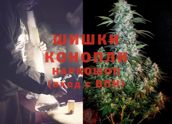 гидра Волоколамск