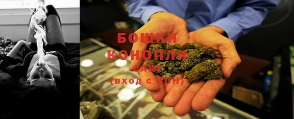 гидра Волоколамск