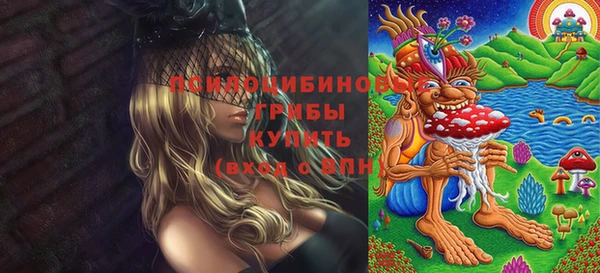 гидра Волоколамск