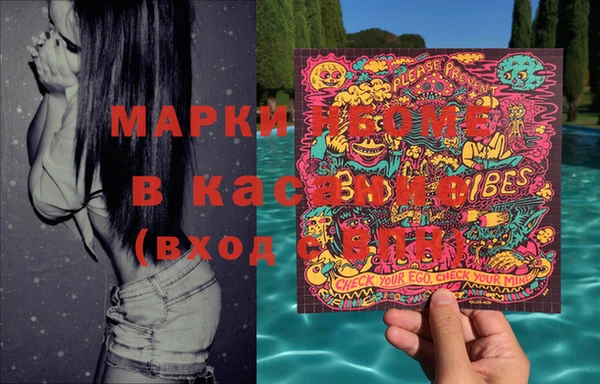 стаф Волосово