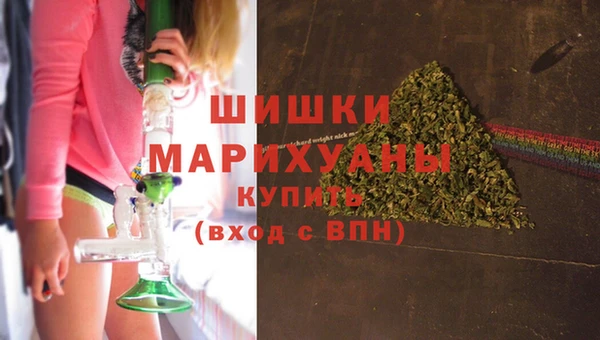 стаф Волосово