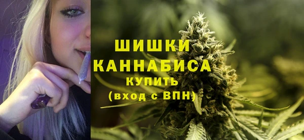 гидра Волоколамск